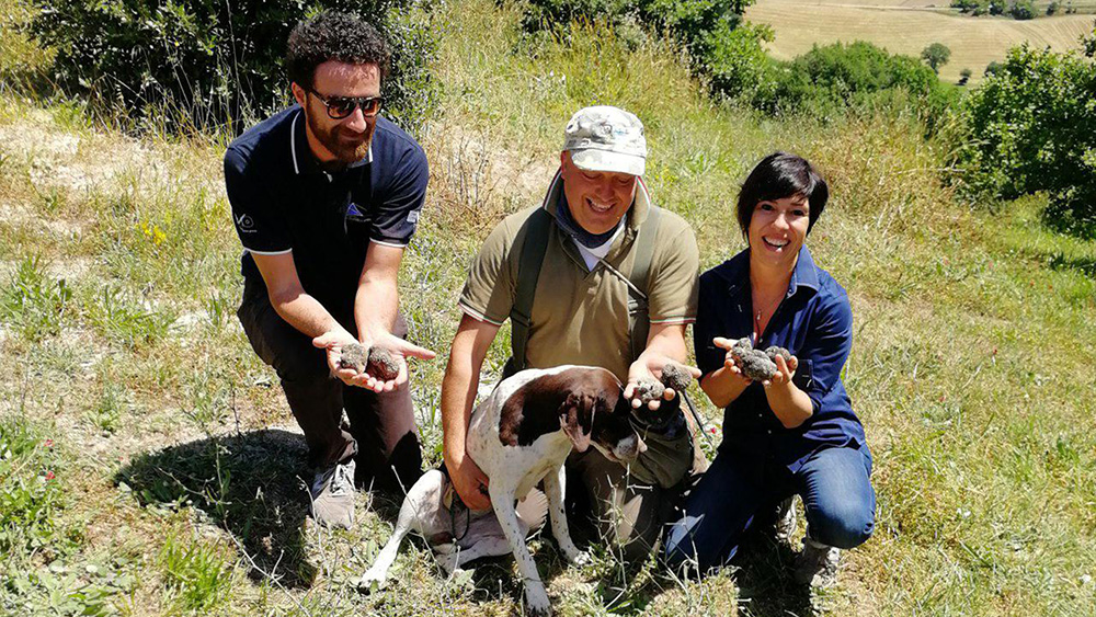 Truffle-Lithuania - blog.jpg